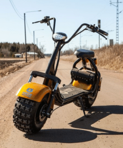 Kruiser Professional 0,7 kWh, 25 km/h – Kruiseri - Image 2